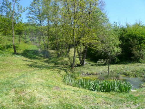 Úklid studánky na Popovsku - 7.5.2011